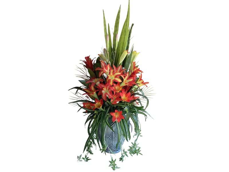 event decor for hire Auckland wide